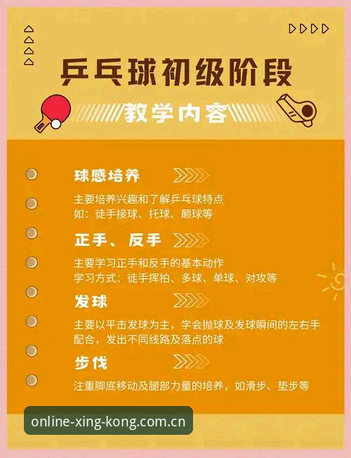 星空体育新手实用指南：从注册到畅玩的必备知识
